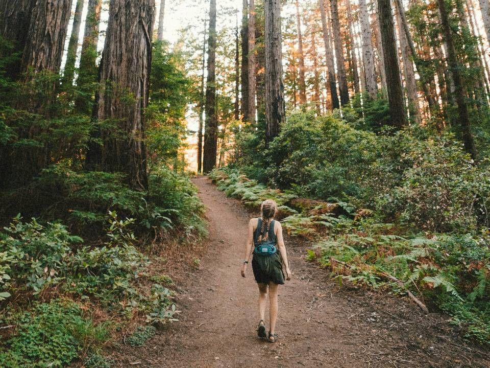 Persona che cammina lungo un sentiero nel bosco