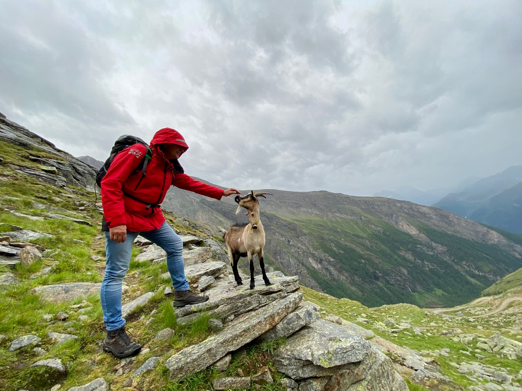 pexels-photo-11673569 man in red jacket touching a goat