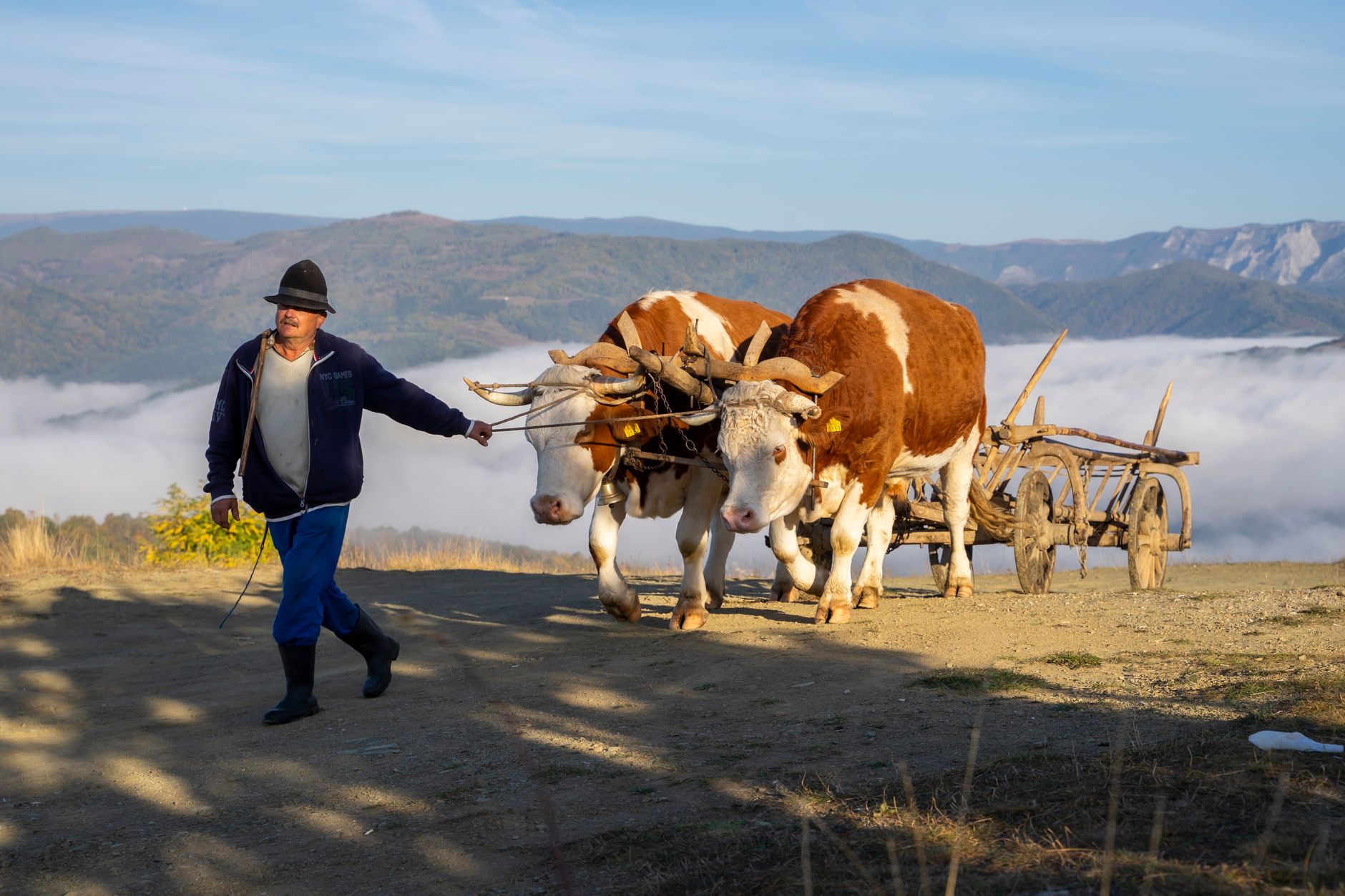 pexels-photo-18774119 farmer with cart pulled by cattle in mountains
