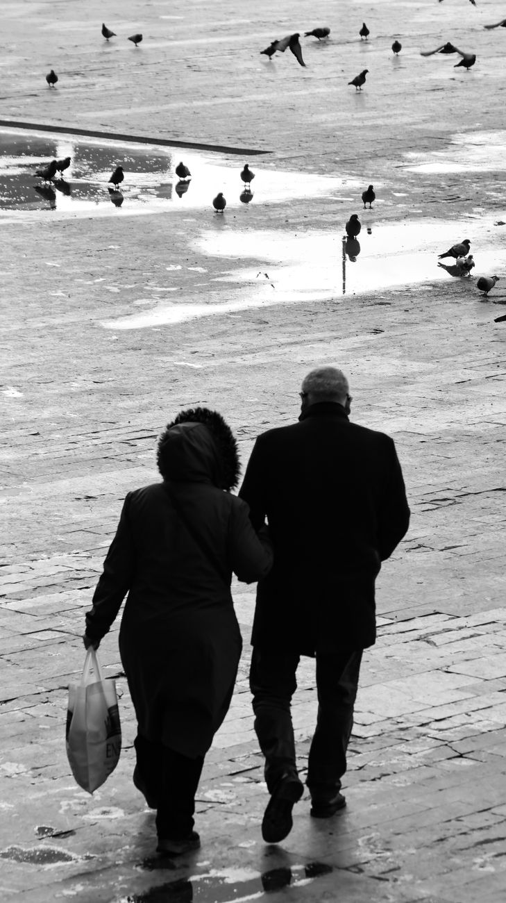 Dignità e diritti Dignità e diritti