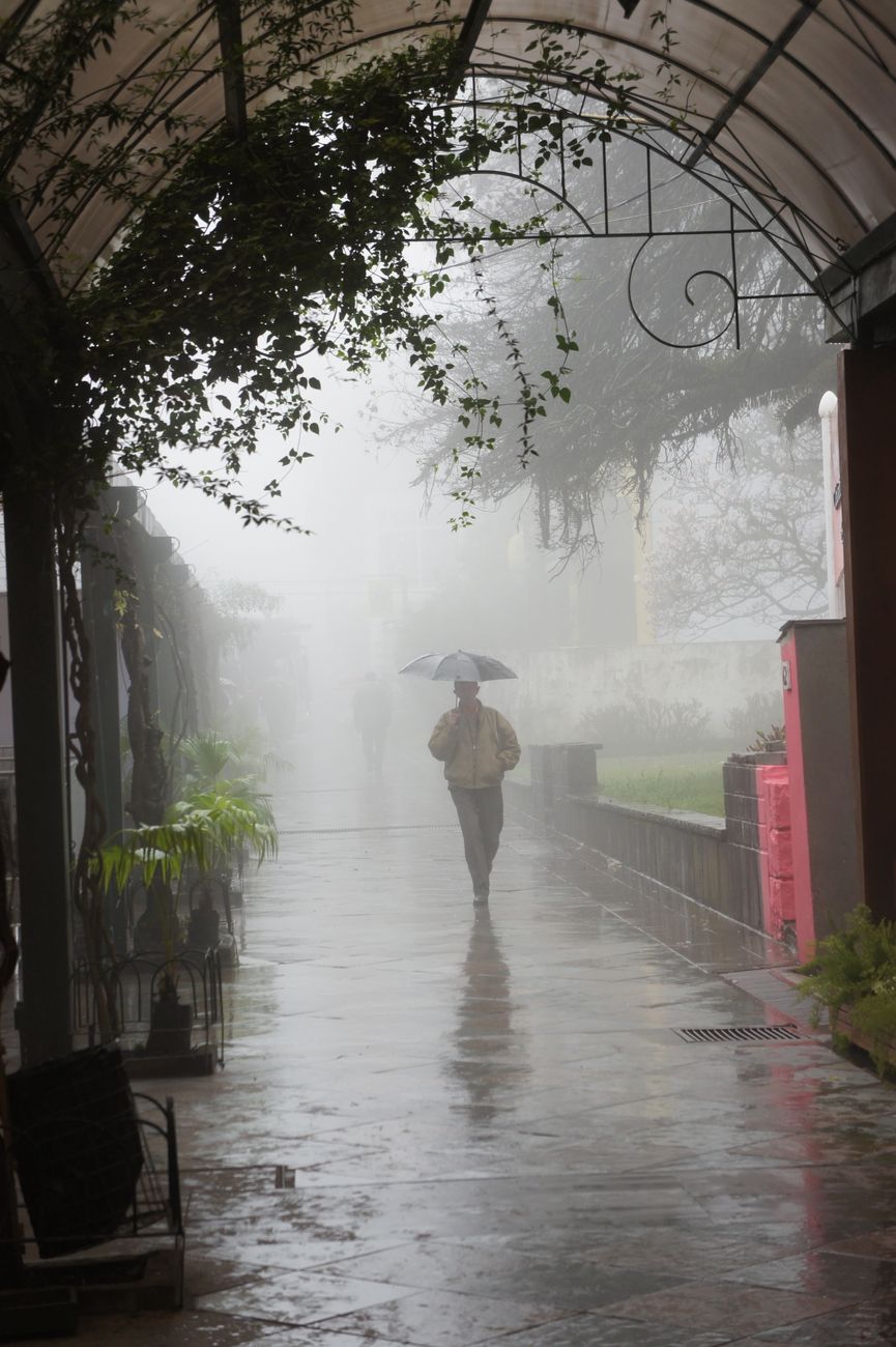 person walking in the rain